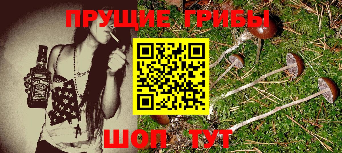Галлюциногенные грибы Psilocybe  Псилоцибиновые грибы Psilocybine cubensis  Курчатов  где продают наркотики  Вход с VPN 